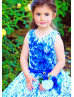 Royal Blue Tulle Lace 3D Floral Applique Flower Girl Dress